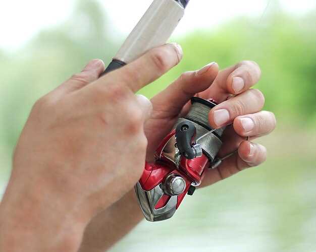 Обзор расположения предохранителя в конструкции автомобиля