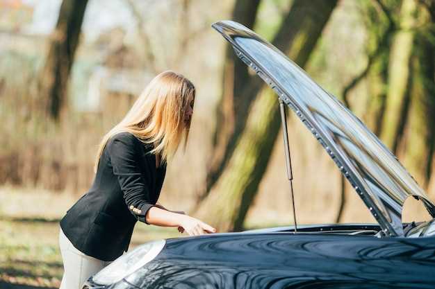 Выбор салонного фильтра для Nissan Leaf: на что обратить внимание