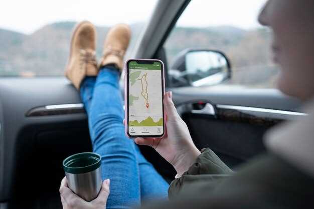 Выбор функции отключения GPS