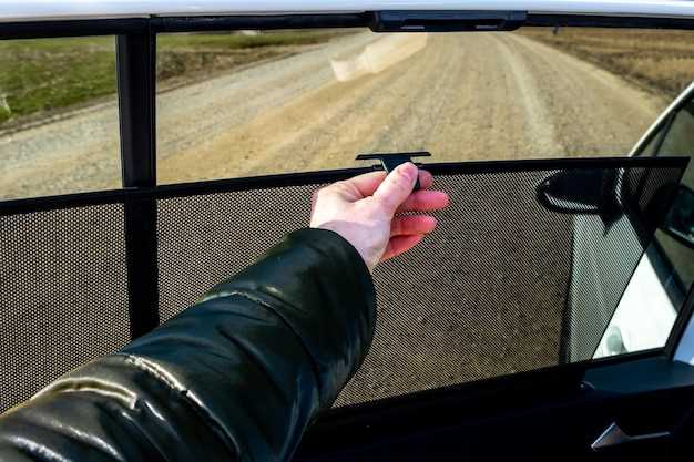 Реабилитация дверного блока: регулировка зазоров и проверка функционирования