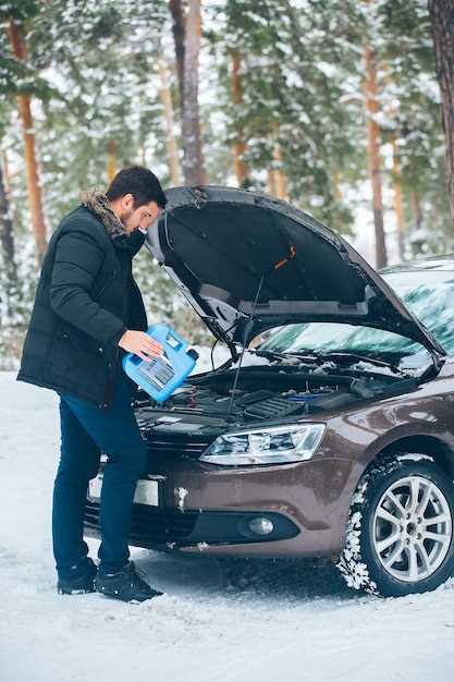 Монтаж защитных крышек или утеплителей для туманок