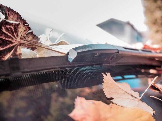 Проблемы со стеклоочистителем и внешними условиями эксплуатации