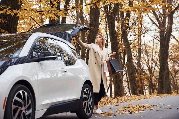Диагностика неисправностей в системе отопителя Nissan Serena C26