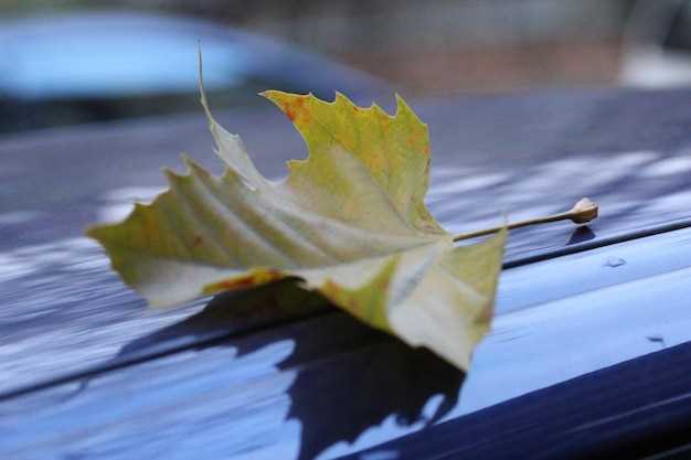 Проверка и замена ремня ГРМ и роликов